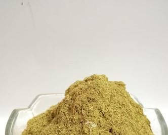 Daun Dracaena - Dracaena Sanderiana Leaf (Dried and Powder)