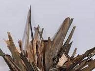 Daun Dracaena - Dracaena Sanderiana Leaf (Dried and Powder)