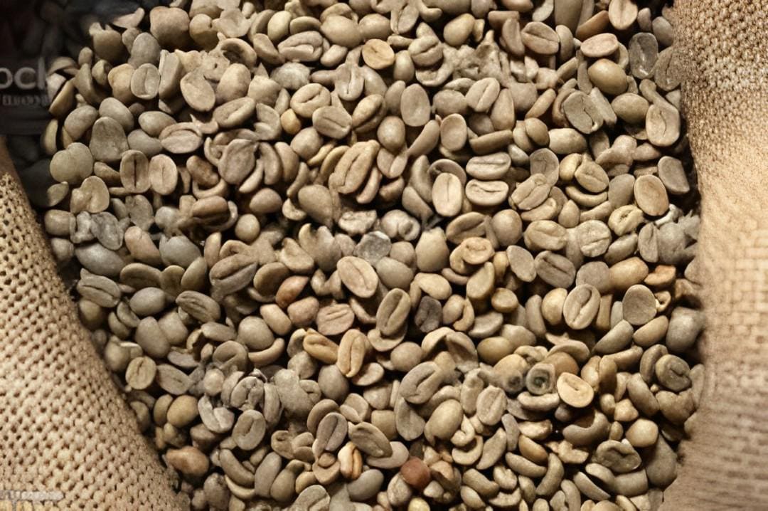 Kopi Hijau - Green Coffee (Powder and Dried)