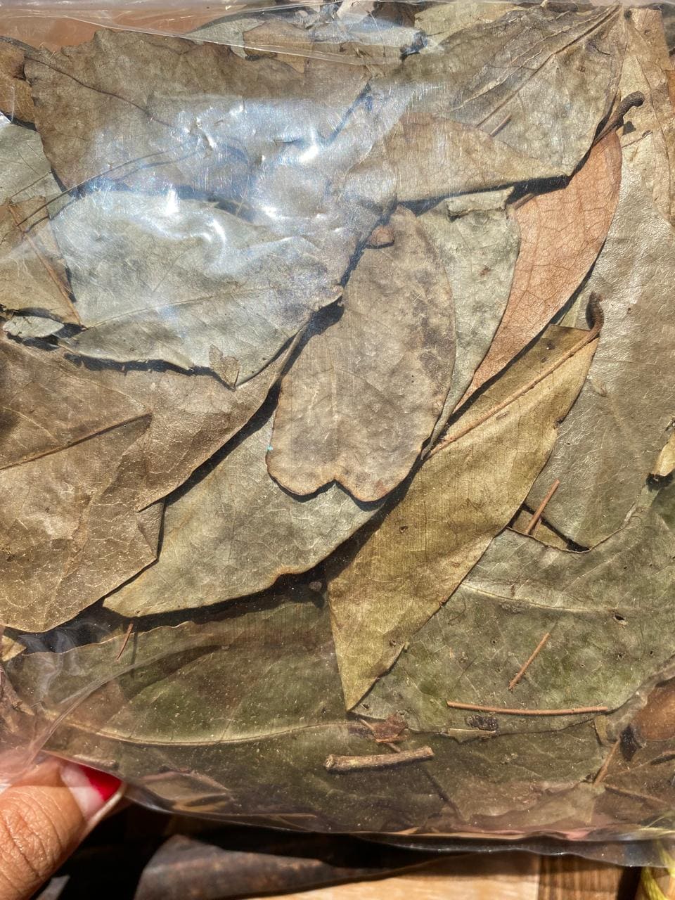 Daun sirsak (Soursop Leaves) Dried and Power