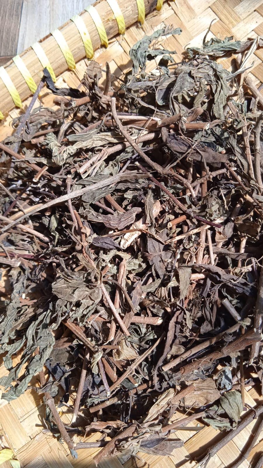 Daun Kumis Kucing - Orthosiphon aristatus Leaf (Dried and Powder)