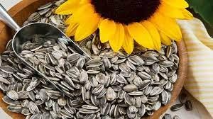 Biji Bunga Matahari/Sunflower Seed - Helianthus Annuus L. Seed (Dried Seed, Peeled Seed and Powder)