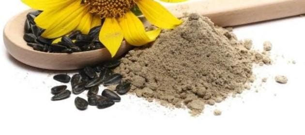 Biji Bunga Matahari/Sunflower Seed - Helianthus Annuus L. Seed (Dried Seed, Peeled Seed and Powder)