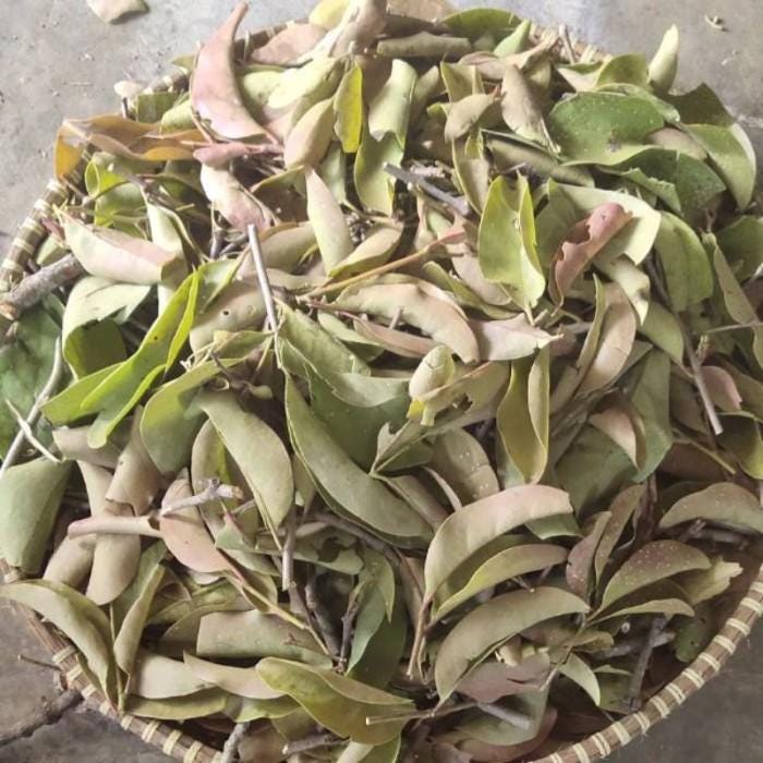 Daun Belimbing Manis - Averrhoa Carambola Leaf (Dried and Powder)