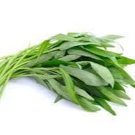 Daun Kangkung - Ipomoea Aquatica Forsk Leaf (Dried and Powder)