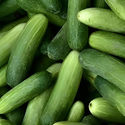 Timun Bubuk (Cucumis Sativus Powder)