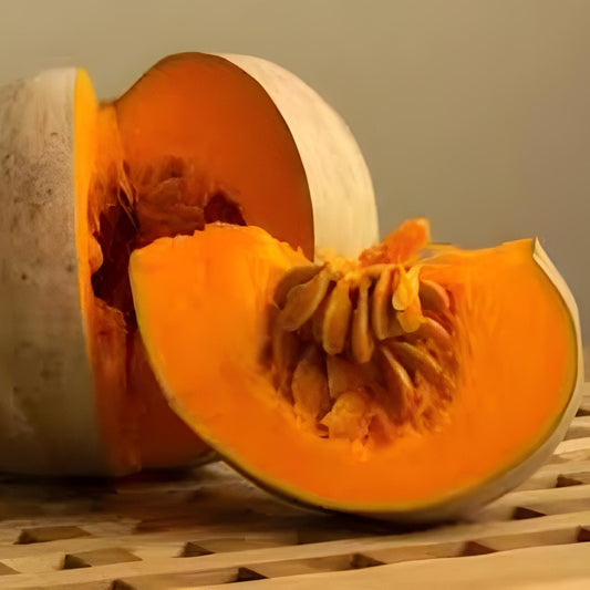 Labu Bubuk (Cucurbita Powder)