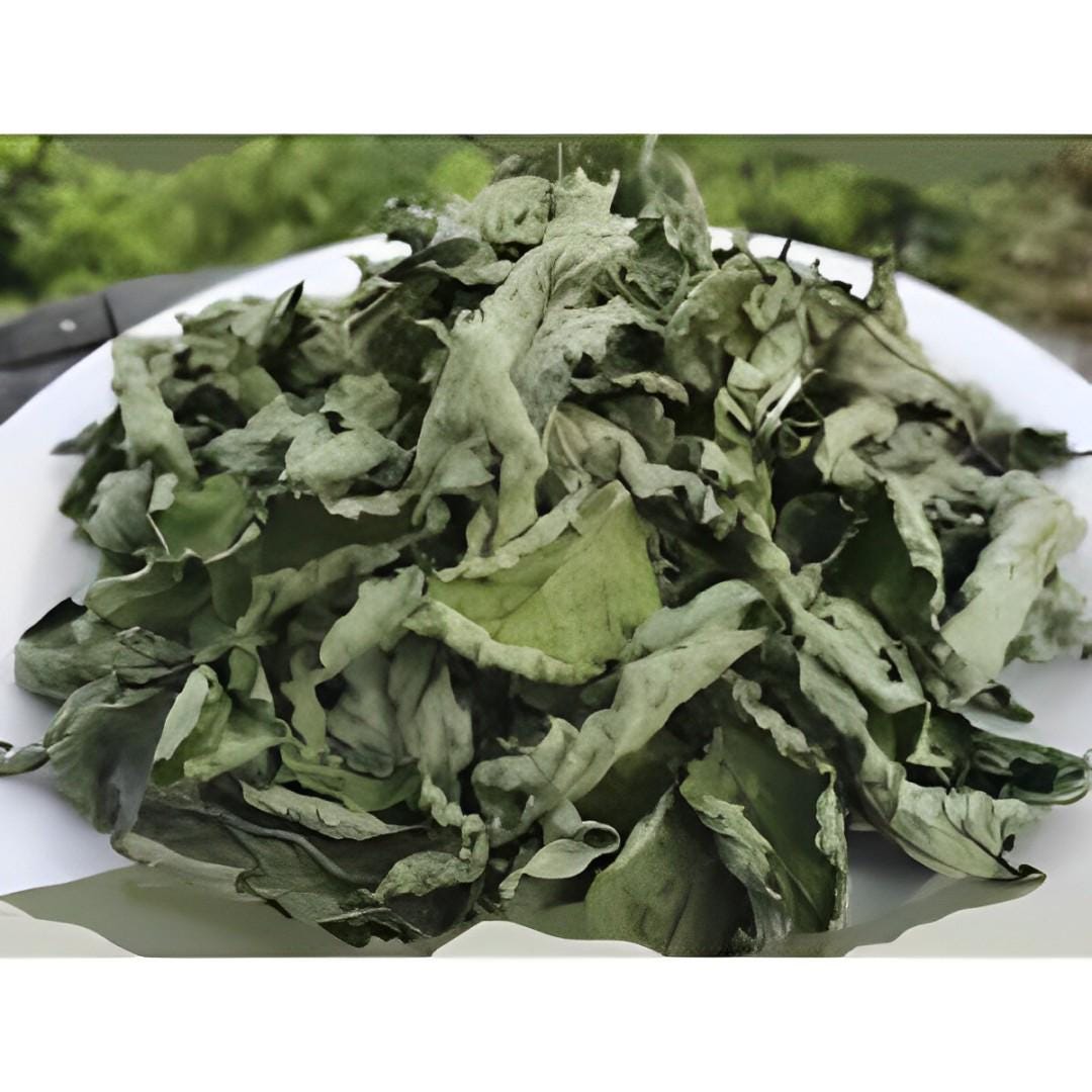 Bayam Duri - Amaranthus spinosus (Powder and Dried)