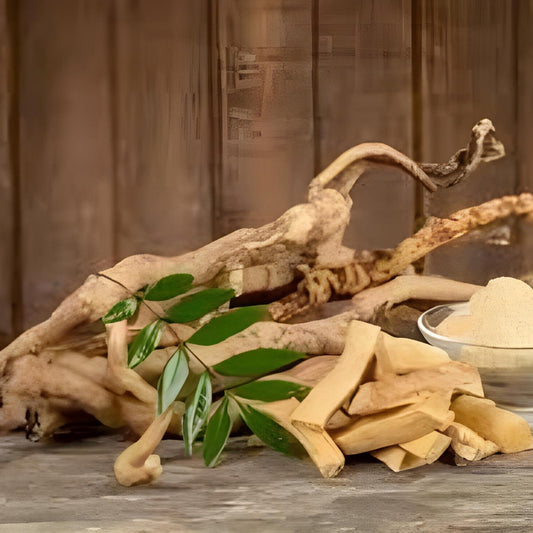 Pasak Bumi (Eurycoma longifolia) Dried and Powder