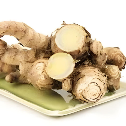 Temu Ireng Bubuk- Curcuma Aeruginosa