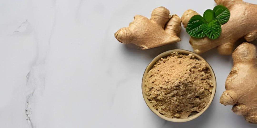 Temu Ireng Bubuk- Curcuma Aeruginosa