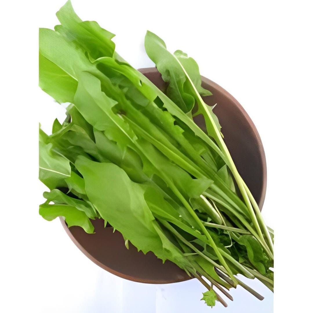 Daun Jombang - Taraxacum officinale Weber et Wiggers Leaf (Dried and Powder)