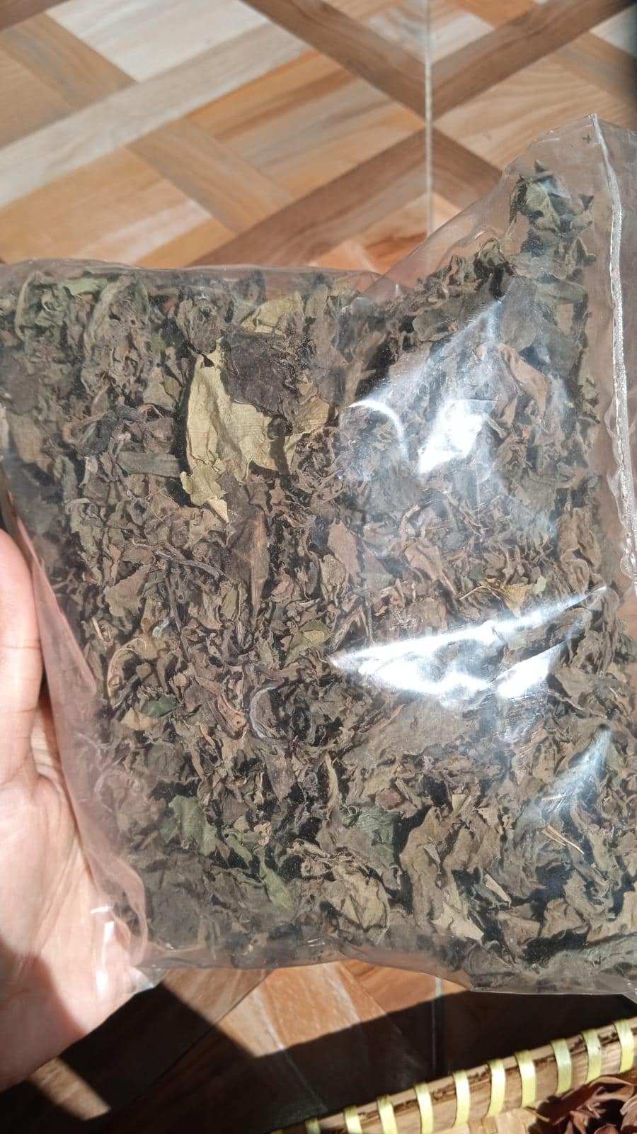 Daun Sambung Nyawa - Gynura procumbens  Leaf ( Dried and Powder)