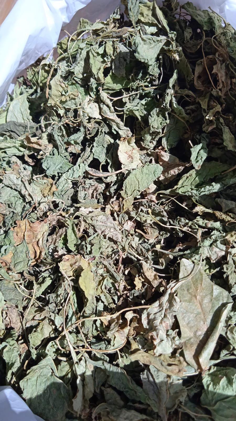 Daun Bayam - Amaranthus Leaf (Dried and Powder)