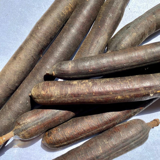 Asam Trengguli Kering /  Kayu Raja Cassia Fistula Dried