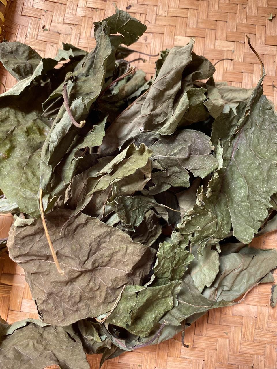 Daun Afrika - Vernonia amygdalina Leaf (Dried and Powder)