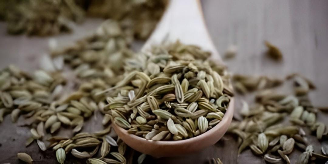 Biji Adas Jawa - Voeniculum Vulgare Mill (Dried and Powder)