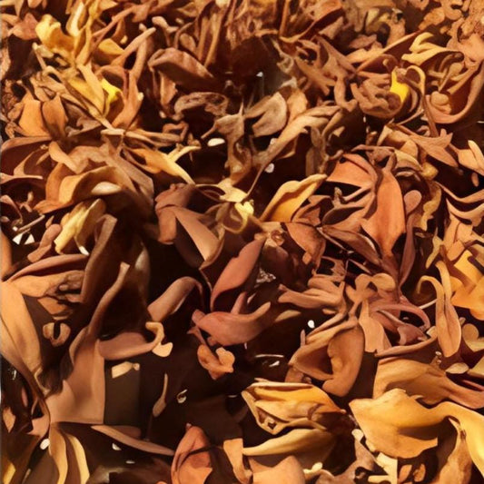 Bunga Kamboja Kering (Dried Cambodia / Frangipani Flowers)