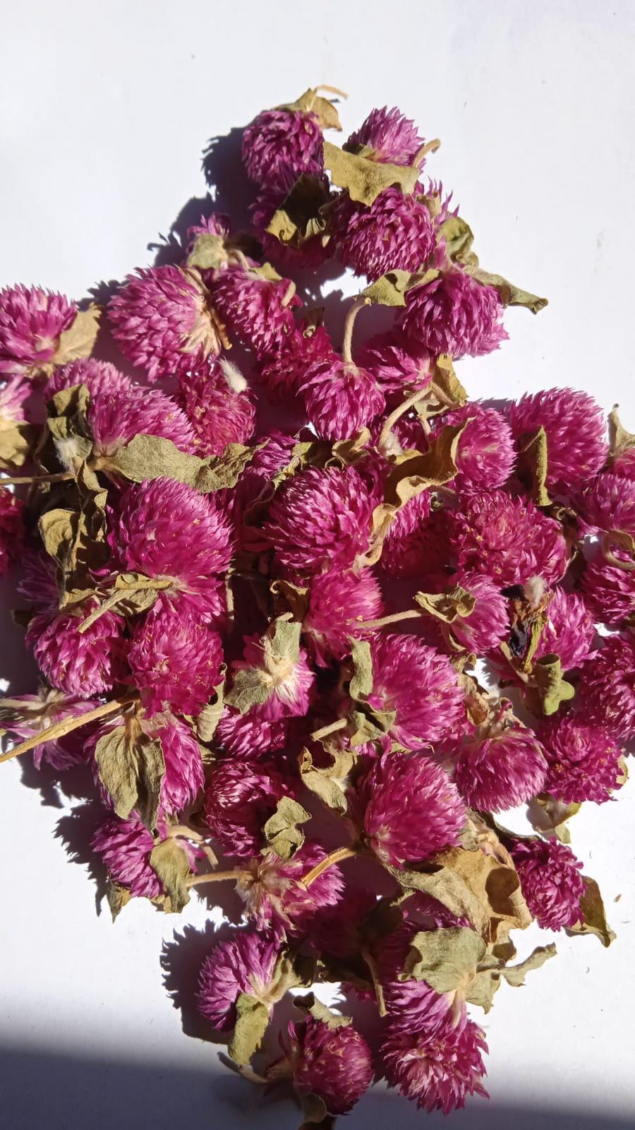 Teh Bunga Globe Amaranth Kering (Dried Globe Amaranth Tea) Gomphrena globosa