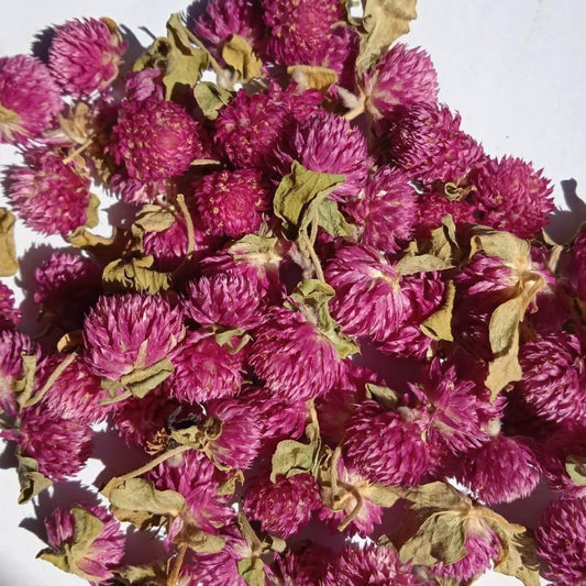 Teh Bunga Globe Amaranth Kering (Dried Globe Amaranth Tea) Gomphrena globosa