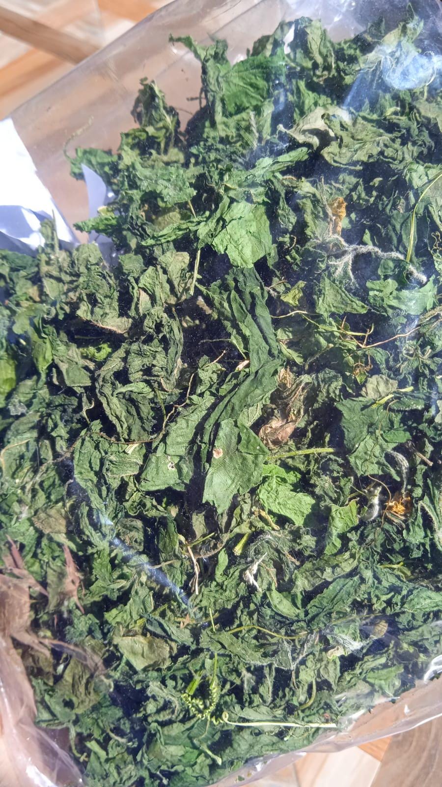 Daun Pare - Momordica charantia L Leaf (Dried and Powder)